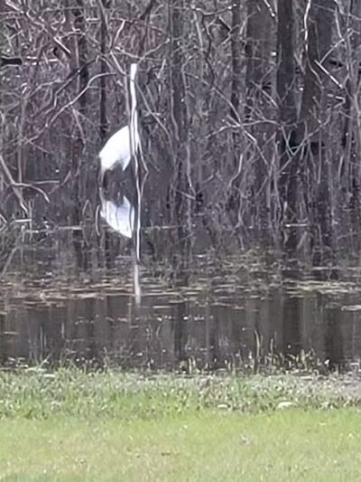 Haddam Meadows State Park - Haddam, CT