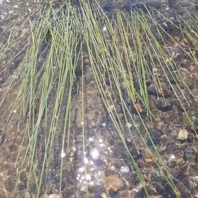 Sacandaga Lake Picnic Place - Hadley, NY