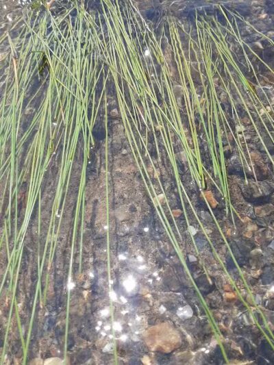 Sacandaga Lake Picnic Place - Hadley, NY