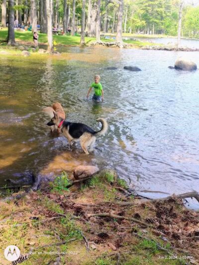 Sacandaga Lake Picnic Place - Hadley, NY