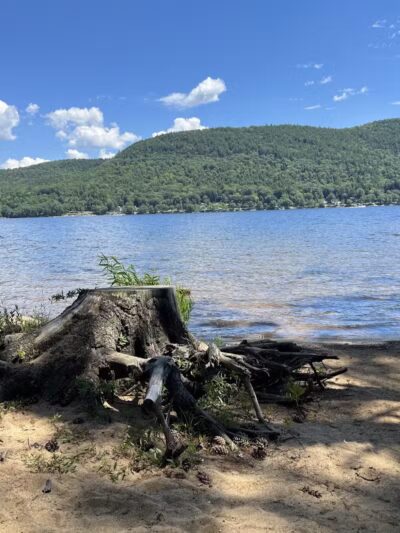 Sacandaga Lake Picnic Place - Hadley, NY