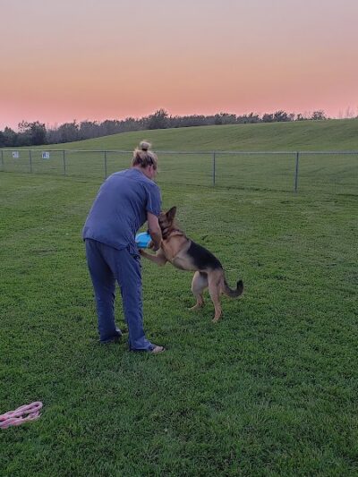 Hamburg Dog Park - Hamburg, NY