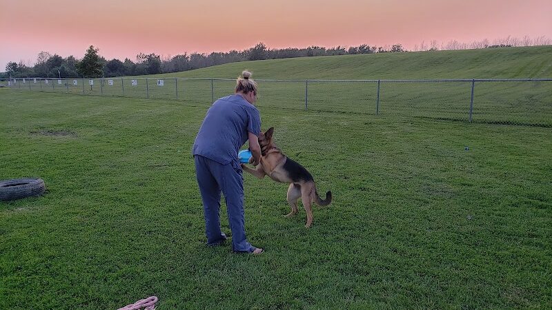 Hamburg Dog Park - Hamburg, NY