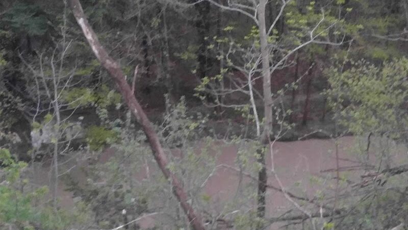 Hamburg Dog Park - Hamburg, NY