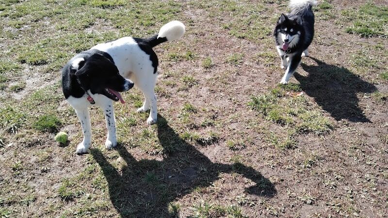 Hamburg Dog Park - Hamburg, NY