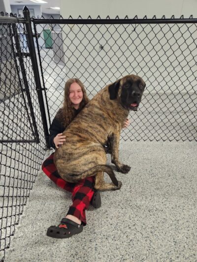 K9 Barks N Brews - Hamburg, NY