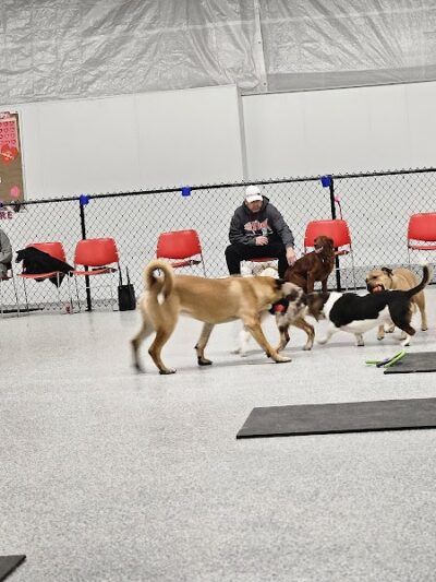 K9 Barks N Brews - Hamburg, NY