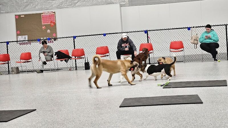 K9 Barks N Brews - Hamburg, NY