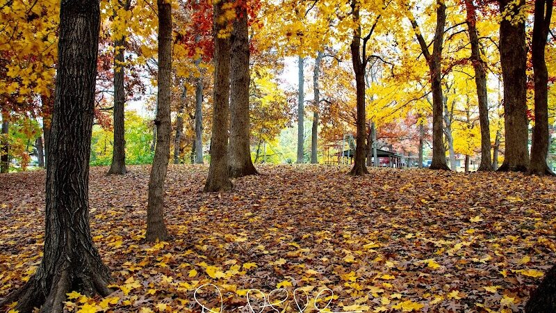 Hamilton Park District - Hamilton, IL