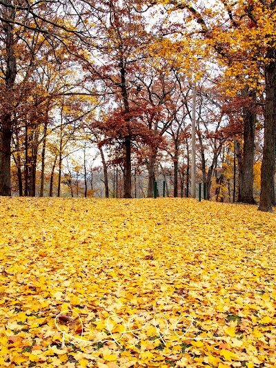 Hamilton Park District - Hamilton, IL