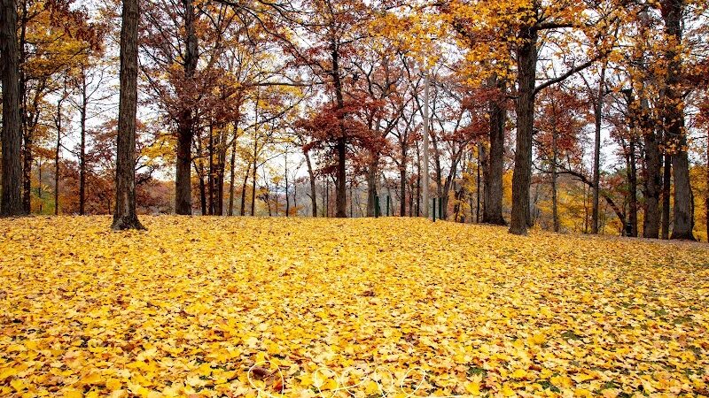 Hamilton Park District - Hamilton, IL