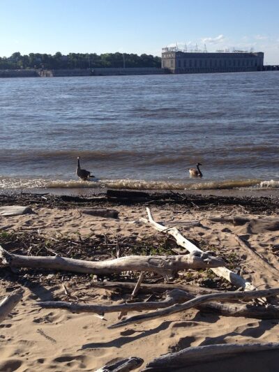 Montebello Nature Area - Hamilton, IL