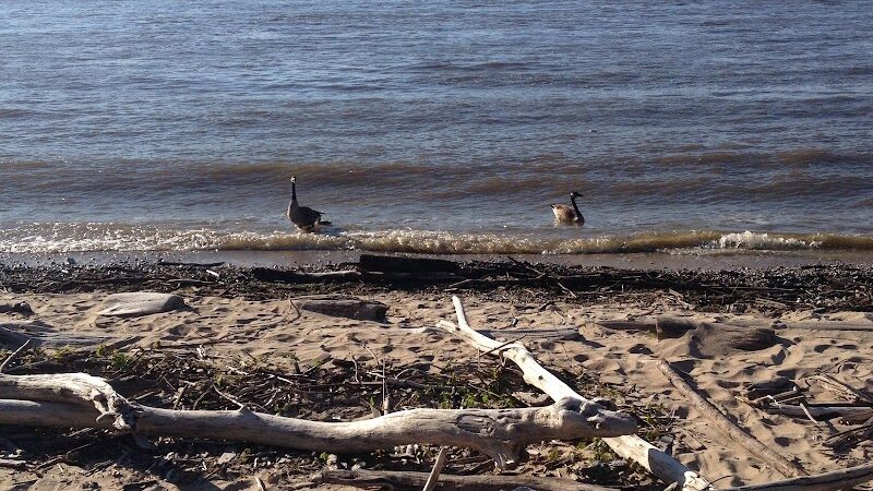 Montebello Nature Area - Hamilton, IL