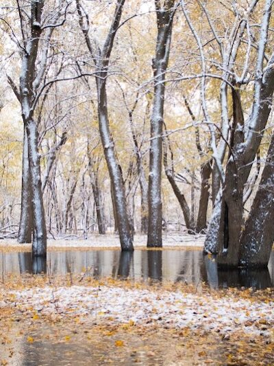 Montebello Nature Area - Hamilton, IL
