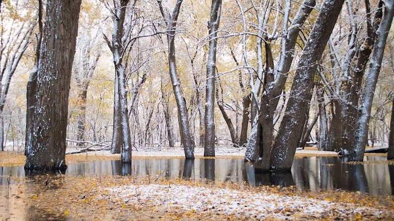Montebello Nature Area - Hamilton, IL