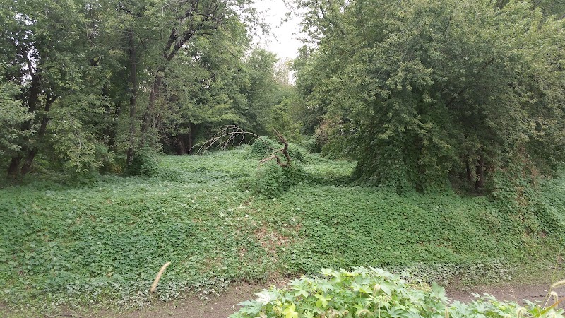 Montebello Nature Area - Hamilton, IL