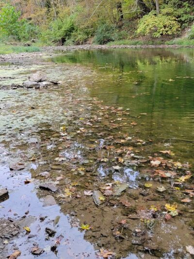 Wildcat Springs Park - Hamilton, IL