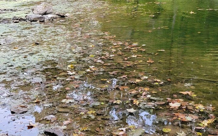 Wildcat Springs Park - Hamilton, IL