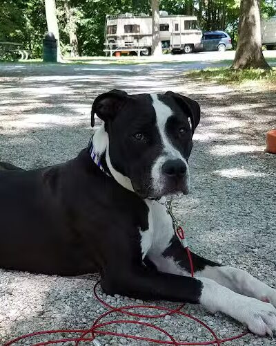 Wildcat Springs Park - Hamilton, IL