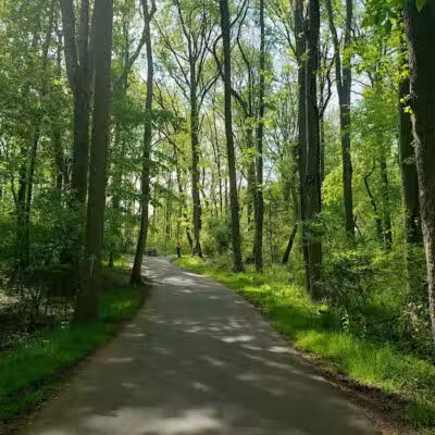 Veterans Park - Hamilton Township, NJ