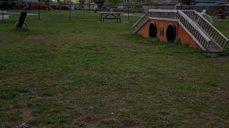 Amy Park - Hammond, IN