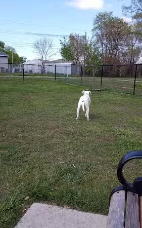 Amy Park - Hammond, IN