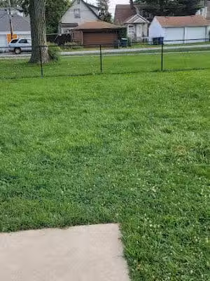 Irving Park Dog Park - Hammond, IN