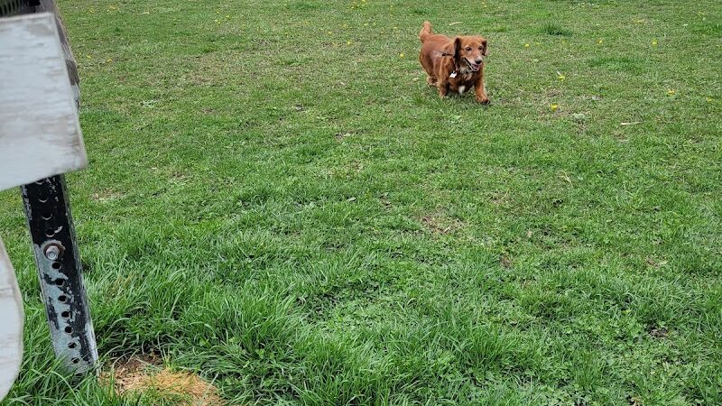 Riverside Dog Park - Hammond, IN