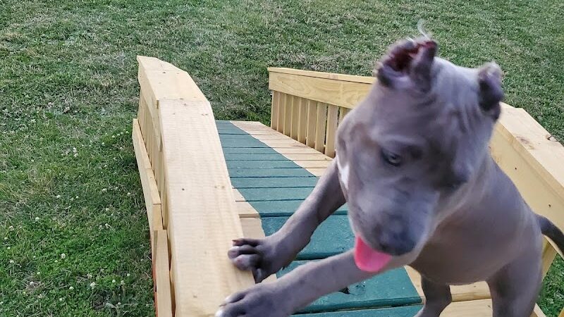 Riverside Dog Park - Hammond, IN