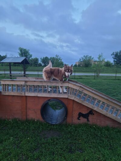 Riverside Dog Park - Hammond, IN