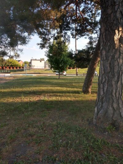 Riverside Dog Park - Hammond, IN