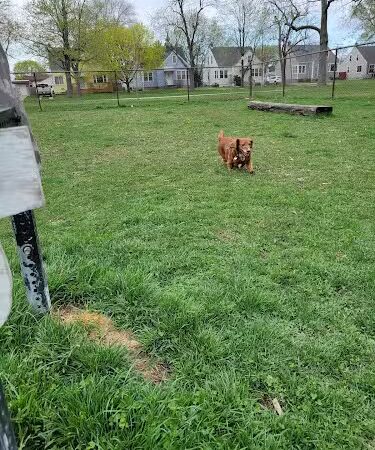 Riverside Dog Park - Hammond, IN