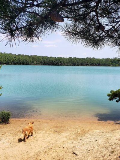 Blue Hole - Hammonton, NJ