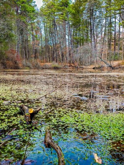 Blue Hole - Hammonton, NJ