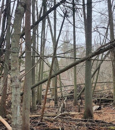 Blue Hole - Hammonton, NJ