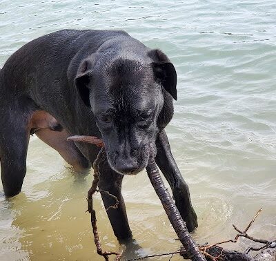 Blue Hole - Hammonton, NJ