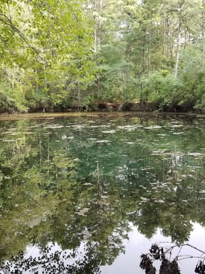 Winslow Fish and Wildlife Management Area - Hammonton, NJ