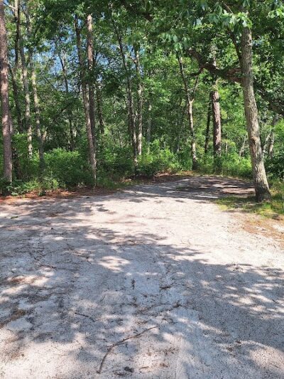 Winslow Fish and Wildlife Management Area - Hammonton, NJ