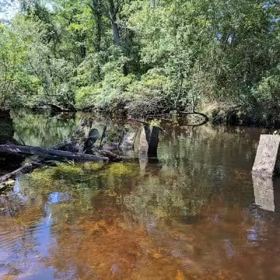 Winslow Fish and Wildlife Management Area - Hammonton, NJ