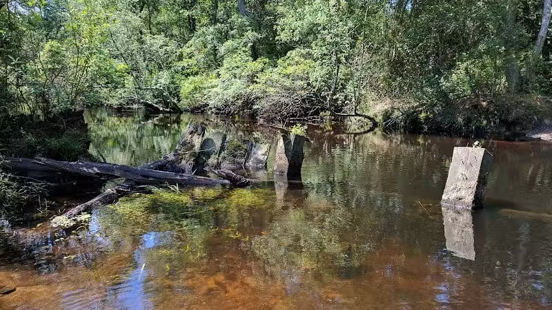 Winslow Fish and Wildlife Management Area - Hammonton, NJ