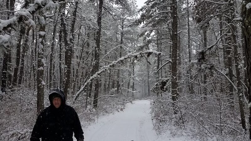 Winslow Fish and Wildlife Management Area - Hammonton, NJ