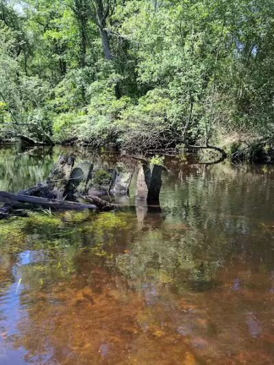 Winslow Fish and Wildlife Management Area - Hammonton, NJ