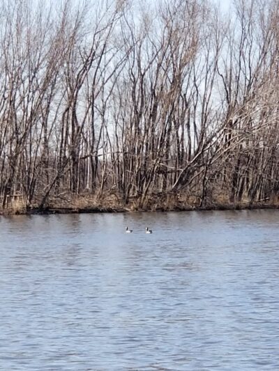 Empire Park - Hampton, IL