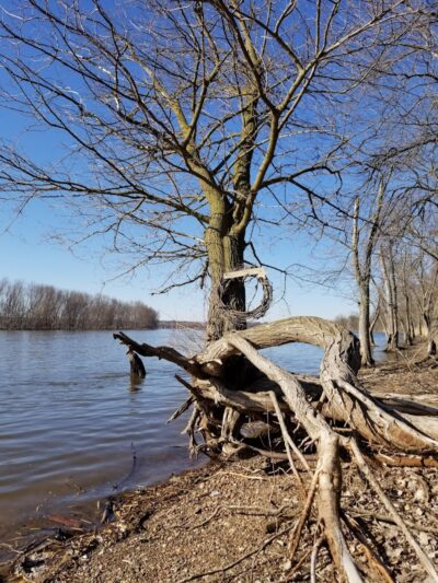 Empire Park - Hampton, IL