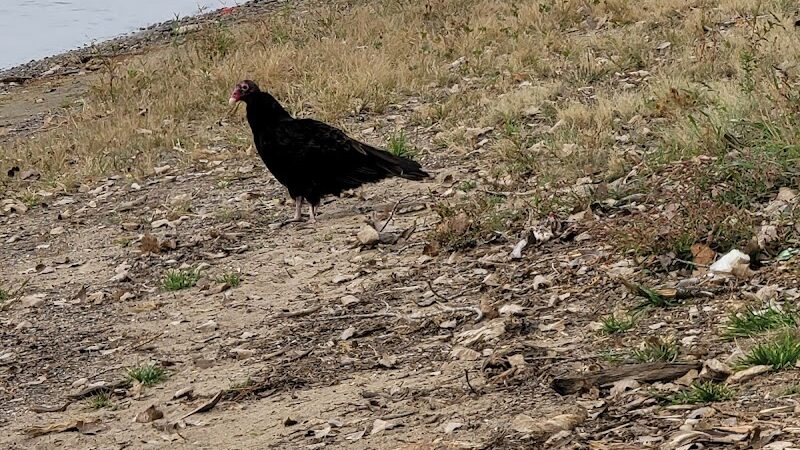 Empire Park - Hampton, IL