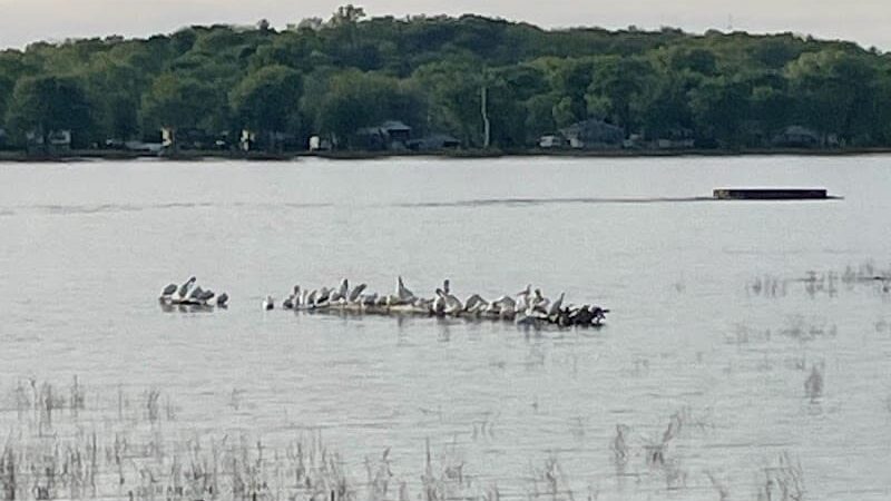 Hampton Heritage Park - Hampton, IL