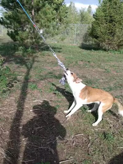 Hancock Dog Park - Hancock, MI