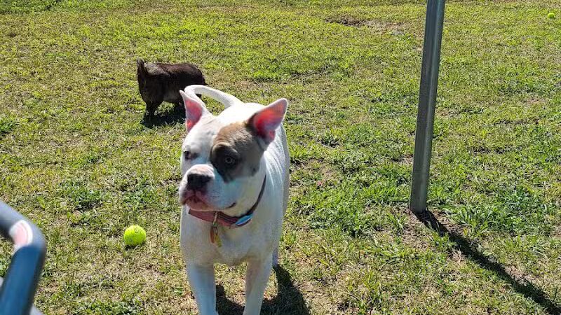 Hancock Dog Park - Hancock, MI