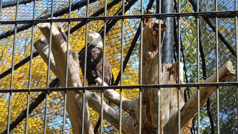 Wildlife Prairie Park - Hanna City, IL
