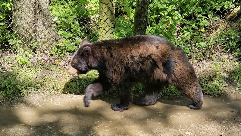 Wildlife Prairie Park - Hanna City, IL